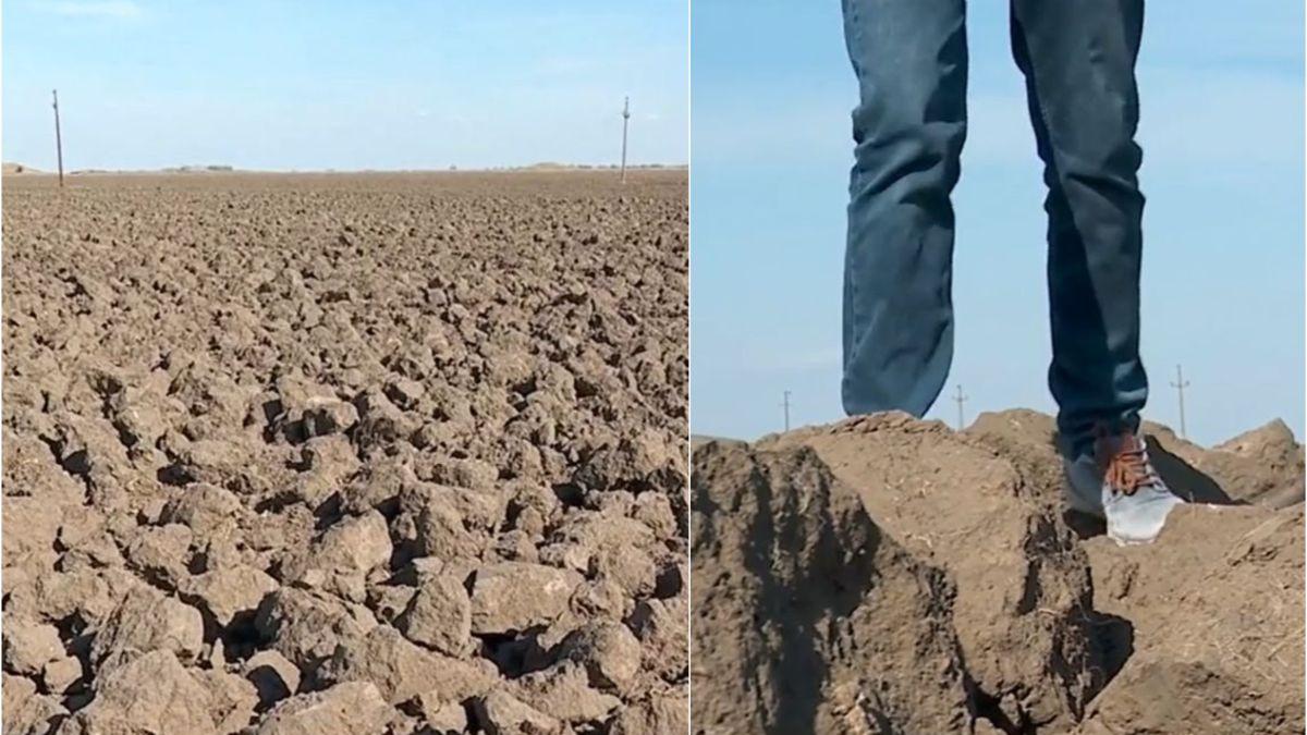 desertificare proportii trei zone romania