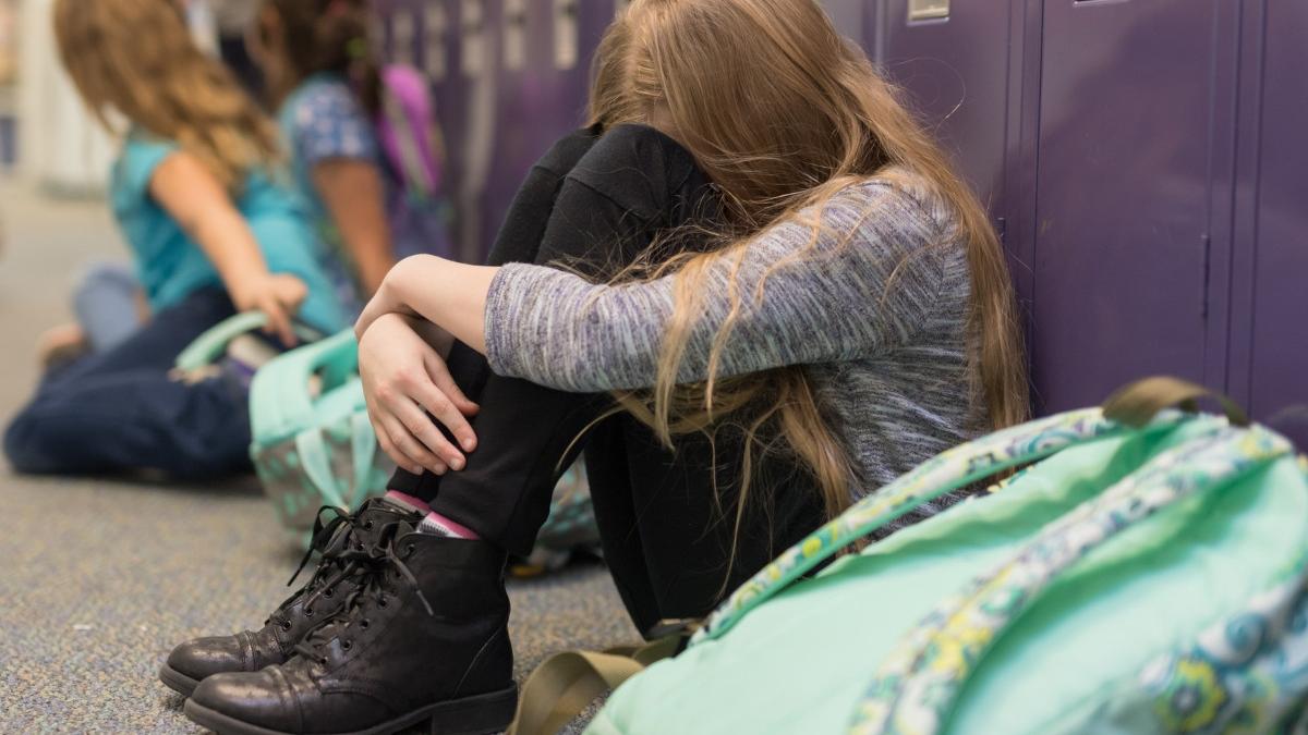 ancheta politie eleva batuta coleg de clasa scoala maramures