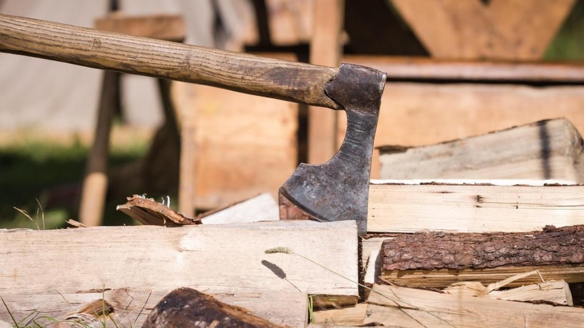 barbat violent politist lovit cap topor