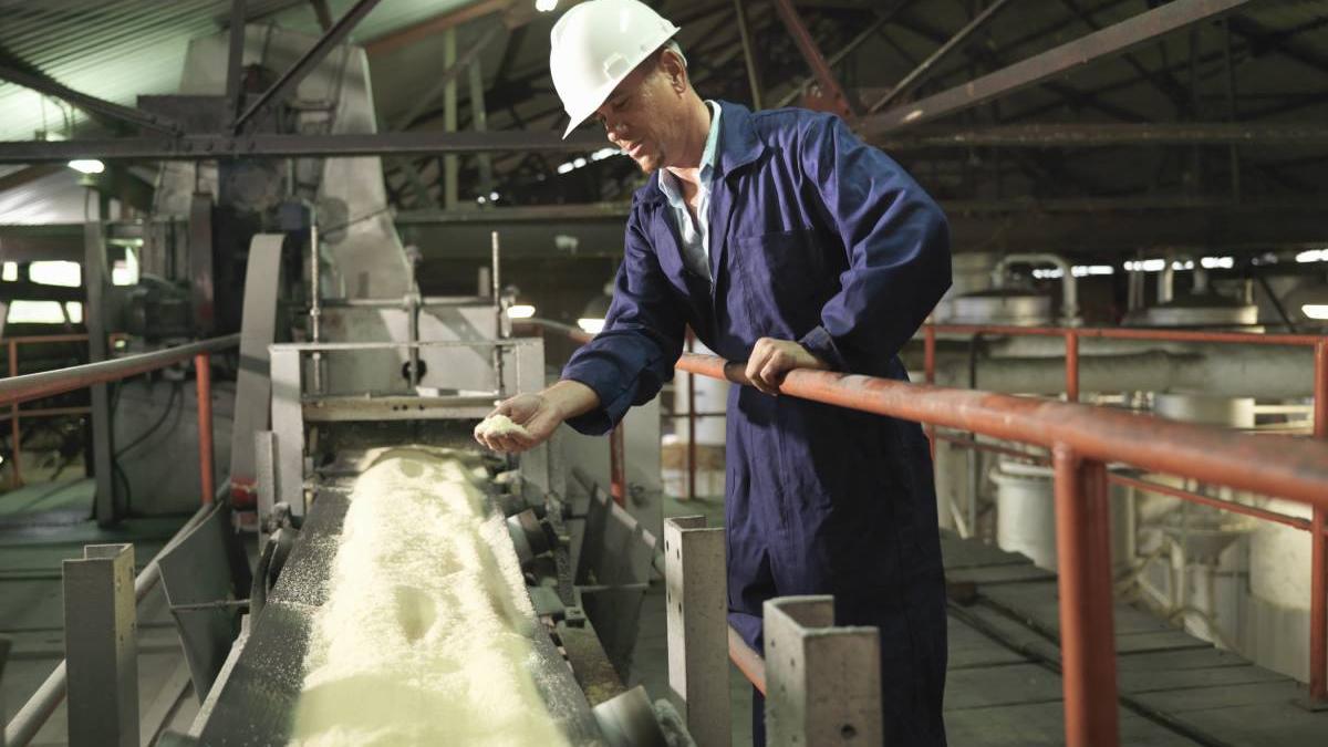 fabrica romania sfecla productie zahar