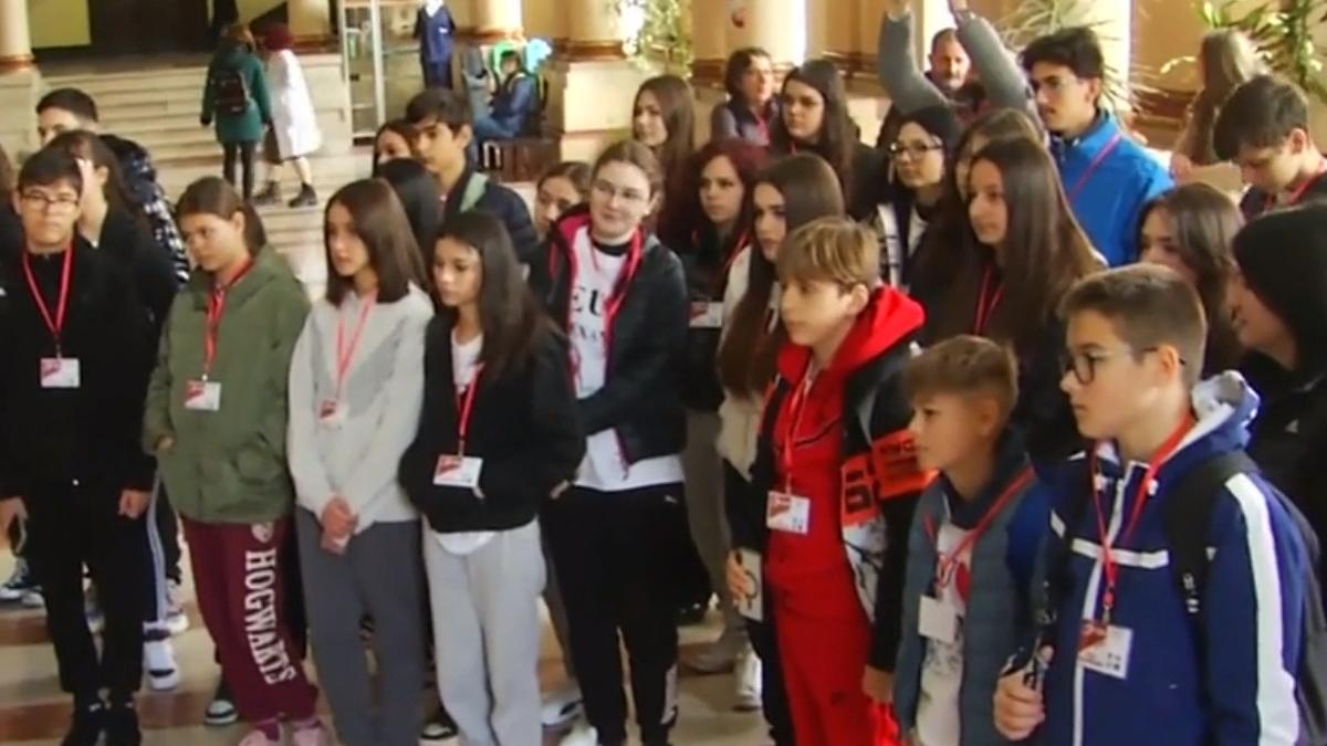 elevi olimpici alexandria proiect vocational romania inteligenta