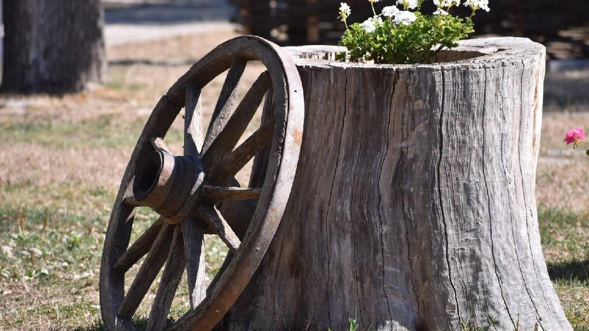 casa romi brasov adusa muzeul statului bucuresti poveste proprietar