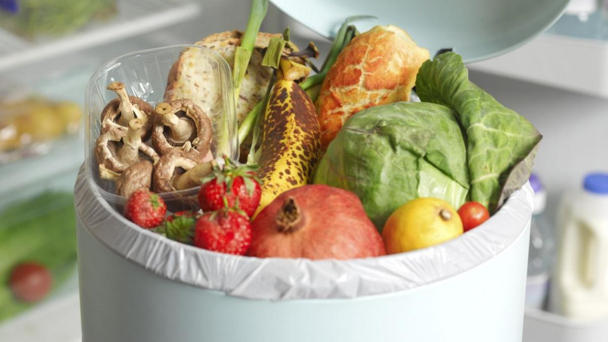 doua greseli post ingrasa carmen bruma