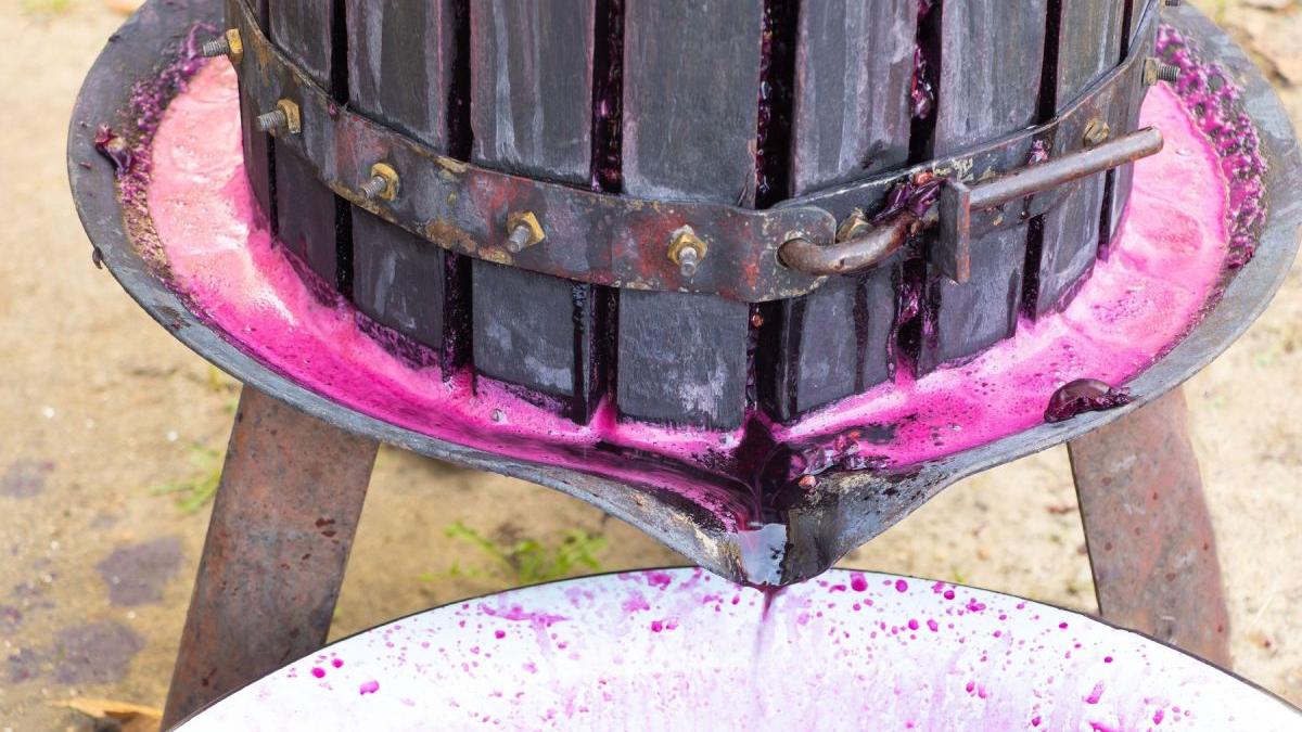 politist botosani prins sef vin curtea politiei stefanesti