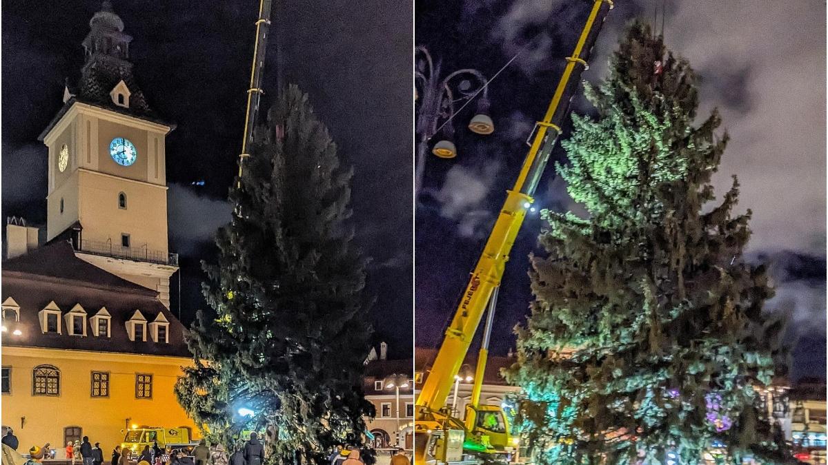 brad craciun desfasurare forte piata sfatului brasov