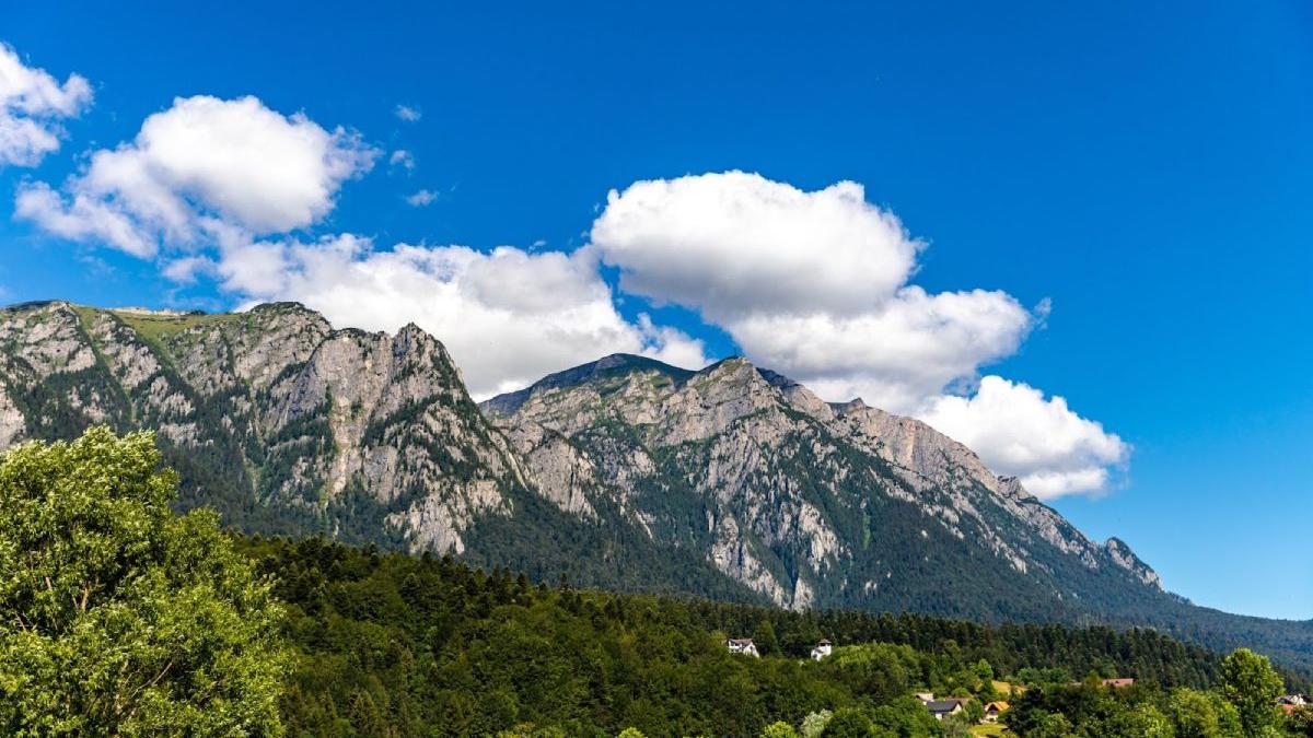 farmecul bucegilor apartament casa de lux arhitectura montana elemente moderne