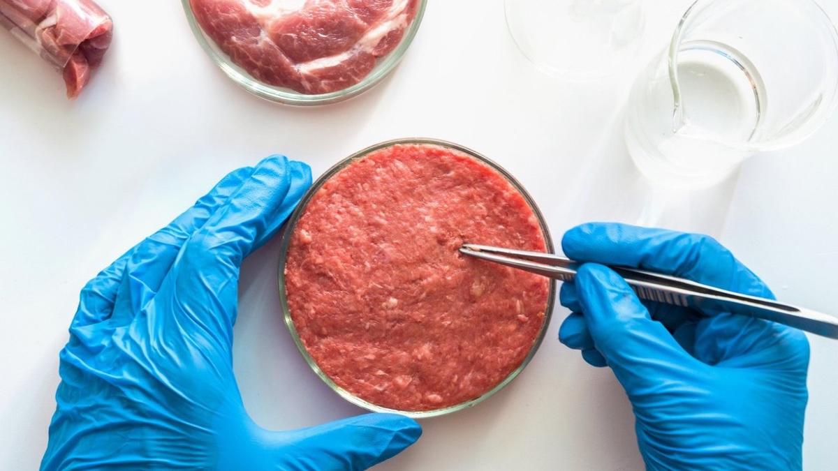 prima tara europa interzice alimentele sintetice