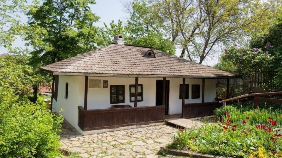 bojdeuca ion creanga modernizata imagini val critici ironii