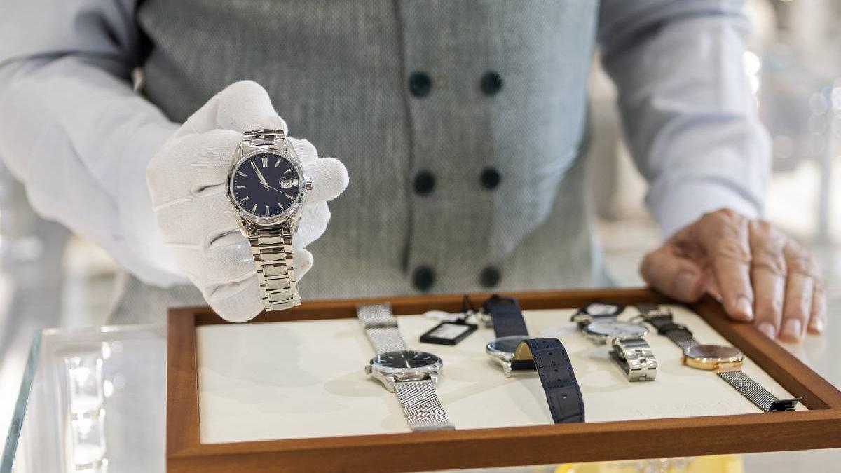 parlaamentari bogati ceasuri lux