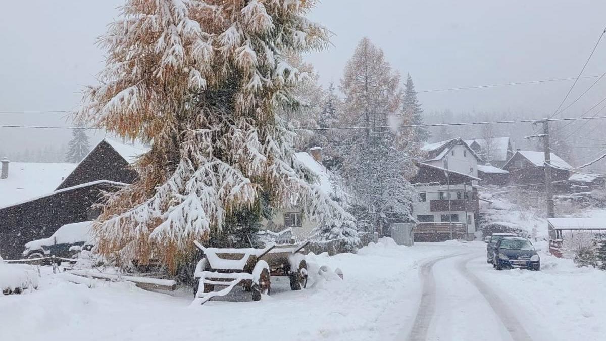 ninge harghita turisti sezon schi