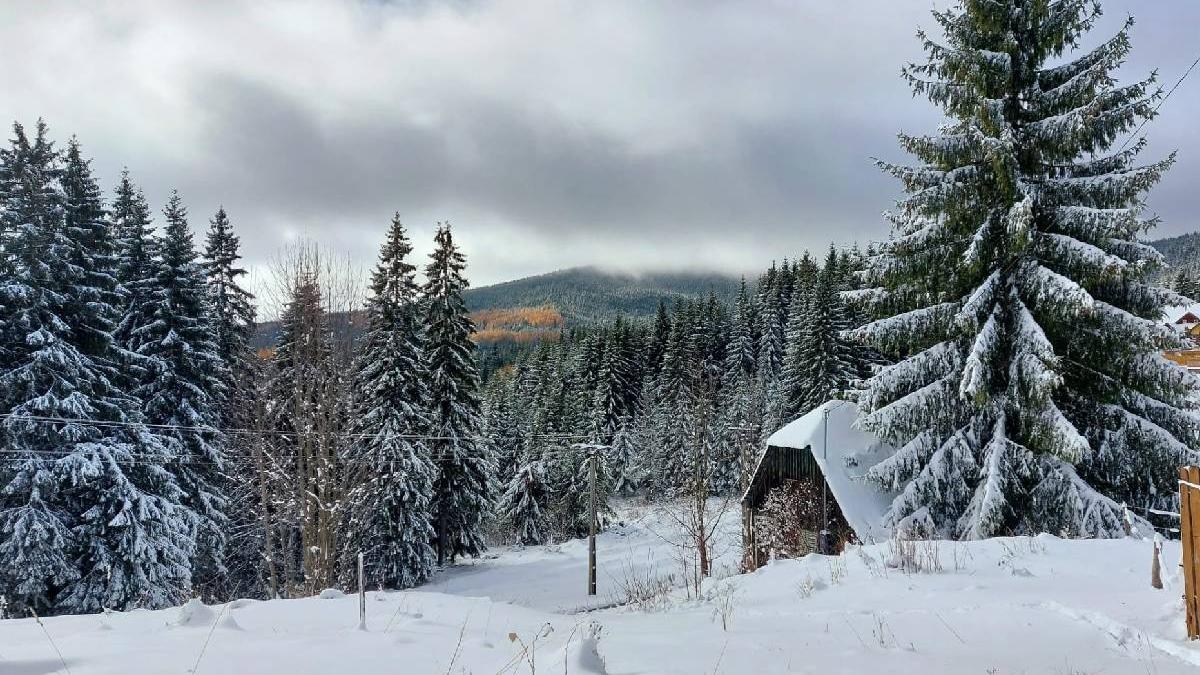s a deschis partie harghita bai imagini statiune zapada