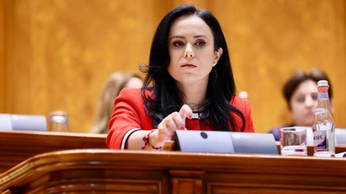 legea pensiilor adoptata camera deputatilor ministrul muncii