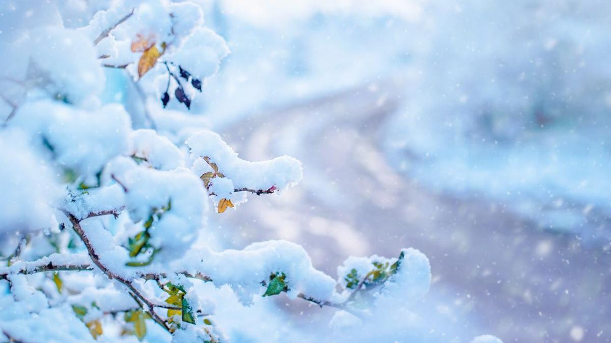 prognoza meteo vremea ploi ninsori