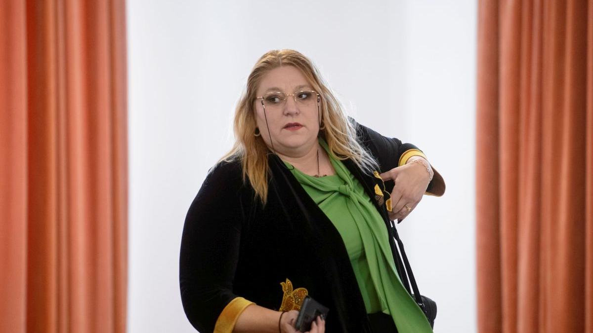 diana sosoaca violente lideri politici romania
