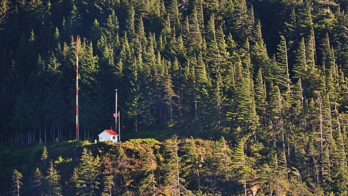 paduri romania monitorizate satelit ministrul mediului alerte