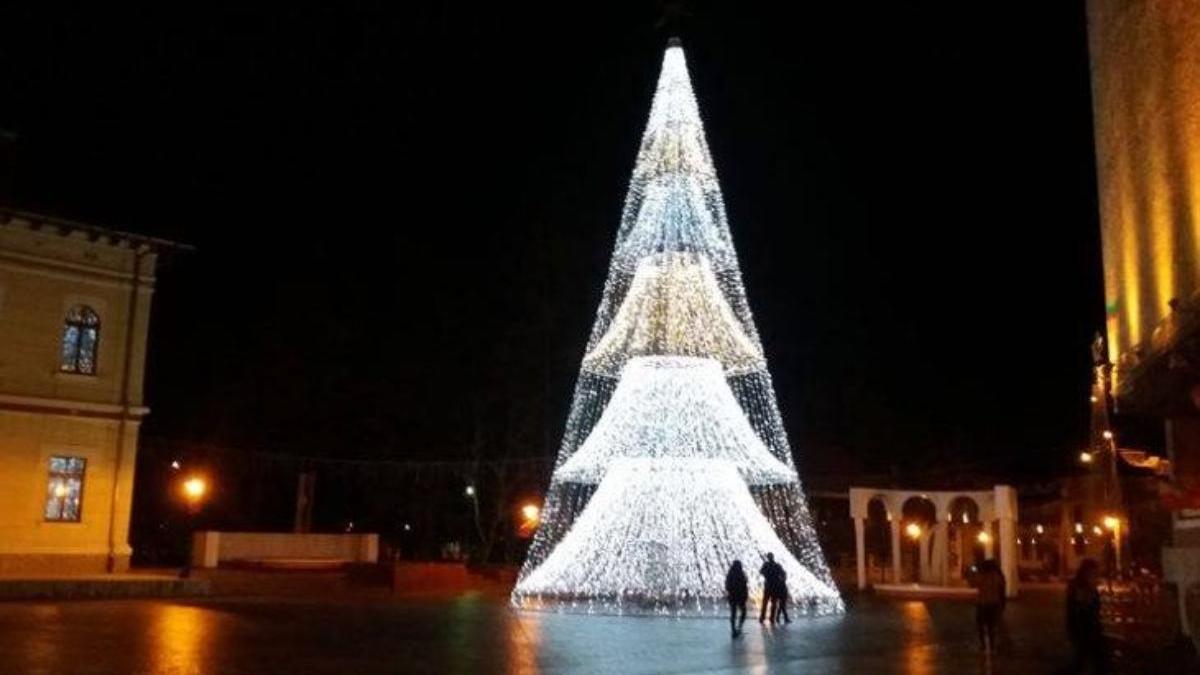 targu jiu cel mai scump brad romania depozit