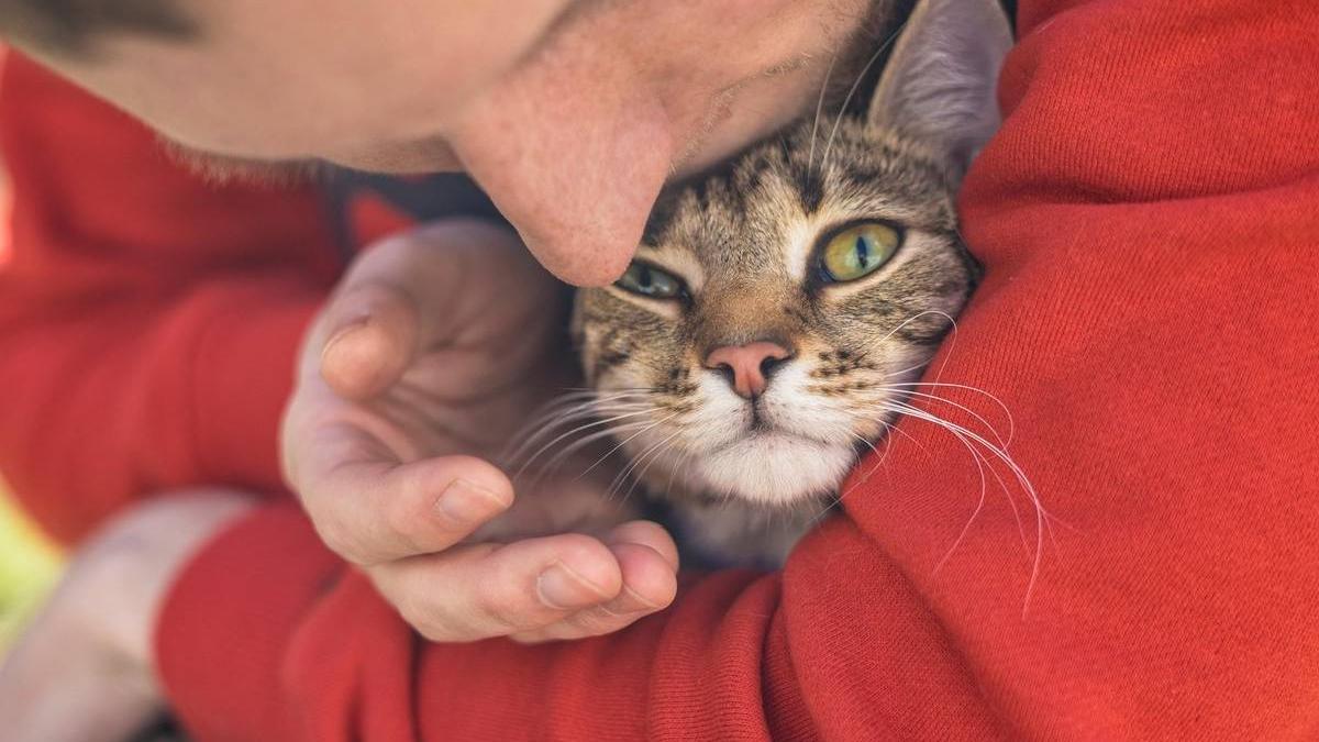 roman italia salvat moarte pisica locuinta cuprinsa flacari