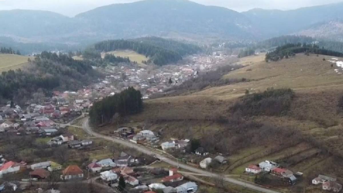 sat vrancea terorizat lupi localnici scapat ursi pericol