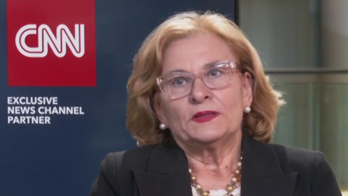 maria grapini europarlamentar pusl persoane credite consum venituri mici