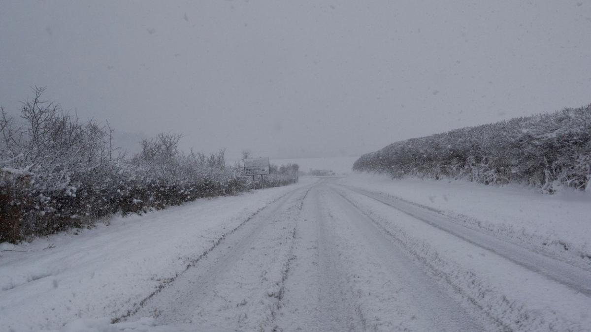 scoli inchise braila galati tulcea viscol
