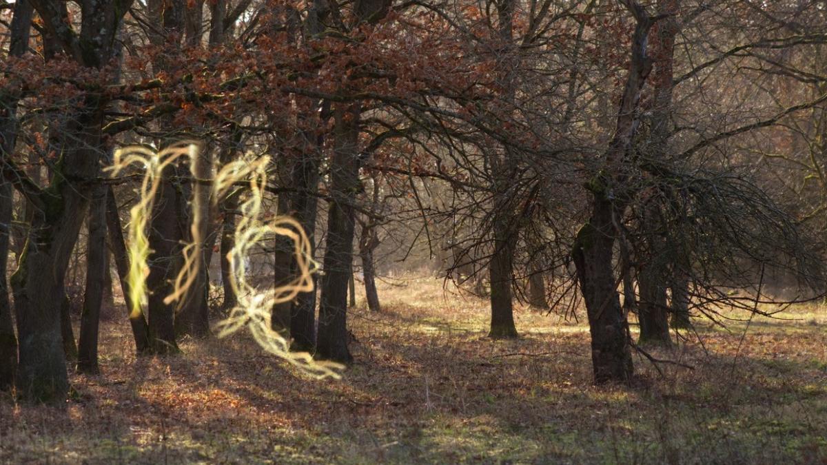 horoscop 28 noiembrie 2023