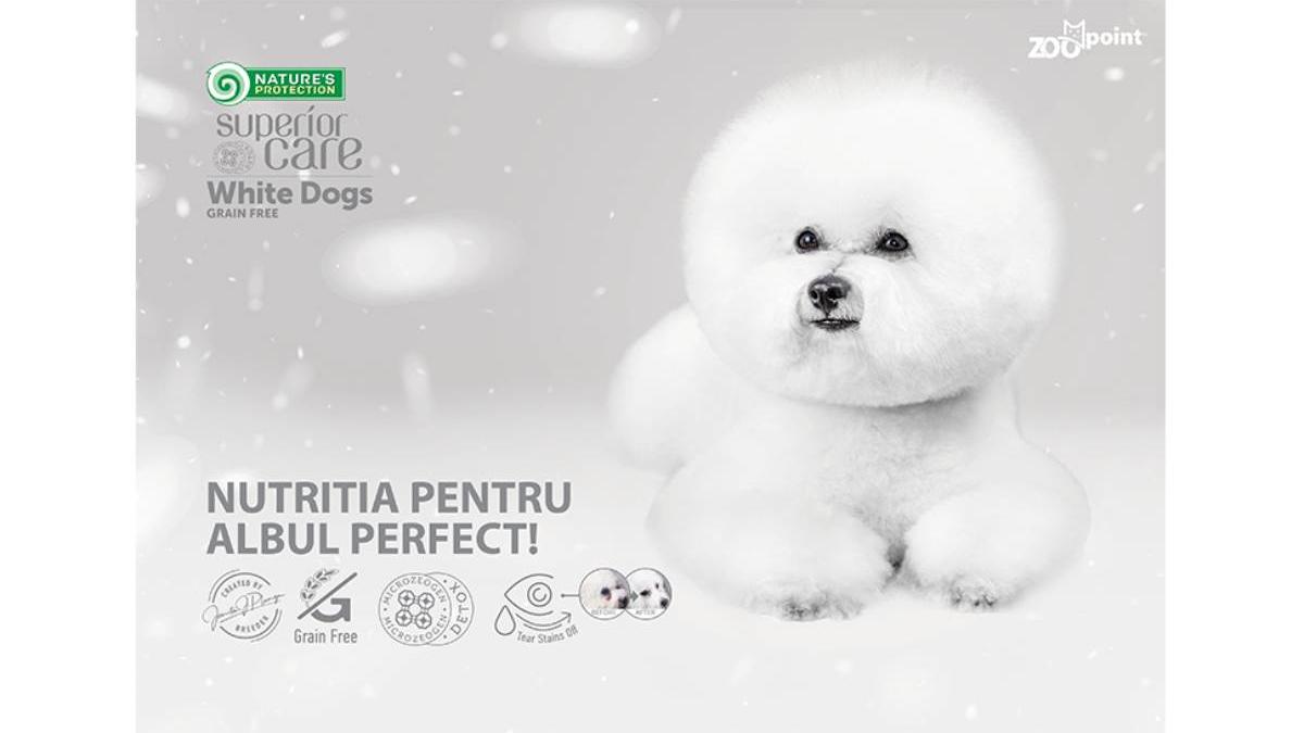 hrana special creata pentru caini cu blana alba descopera site ul zoopoint ro