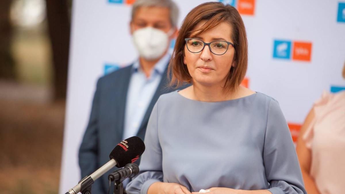 reactie ioana mihaila klaus iohannis semnat ridicare imunitate autosuspendare