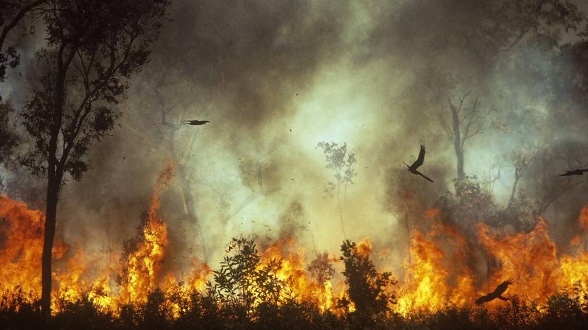 top tari periculoase lume 2023 destinatii evitate turisti