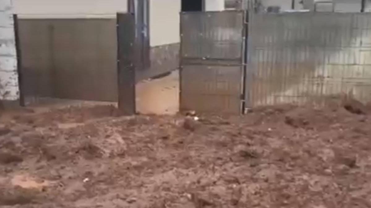 ravagii ploi vestul tarii meteo