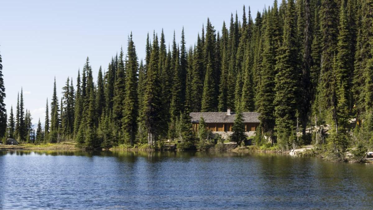 teapa constructie casa cluj maguri racatau