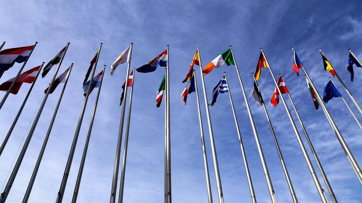 dezbateri parlament european gaza trafic consum droguri drepturi dizabilitati