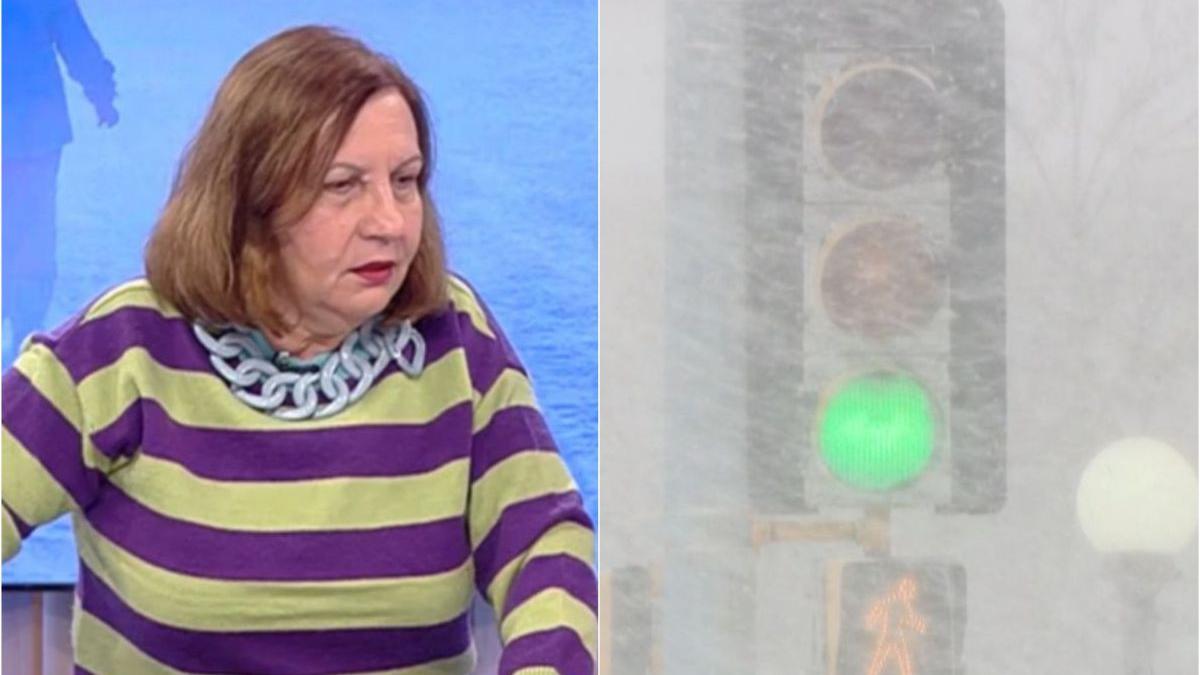 lapovita ninsoare vreme rece romania elena mateescu