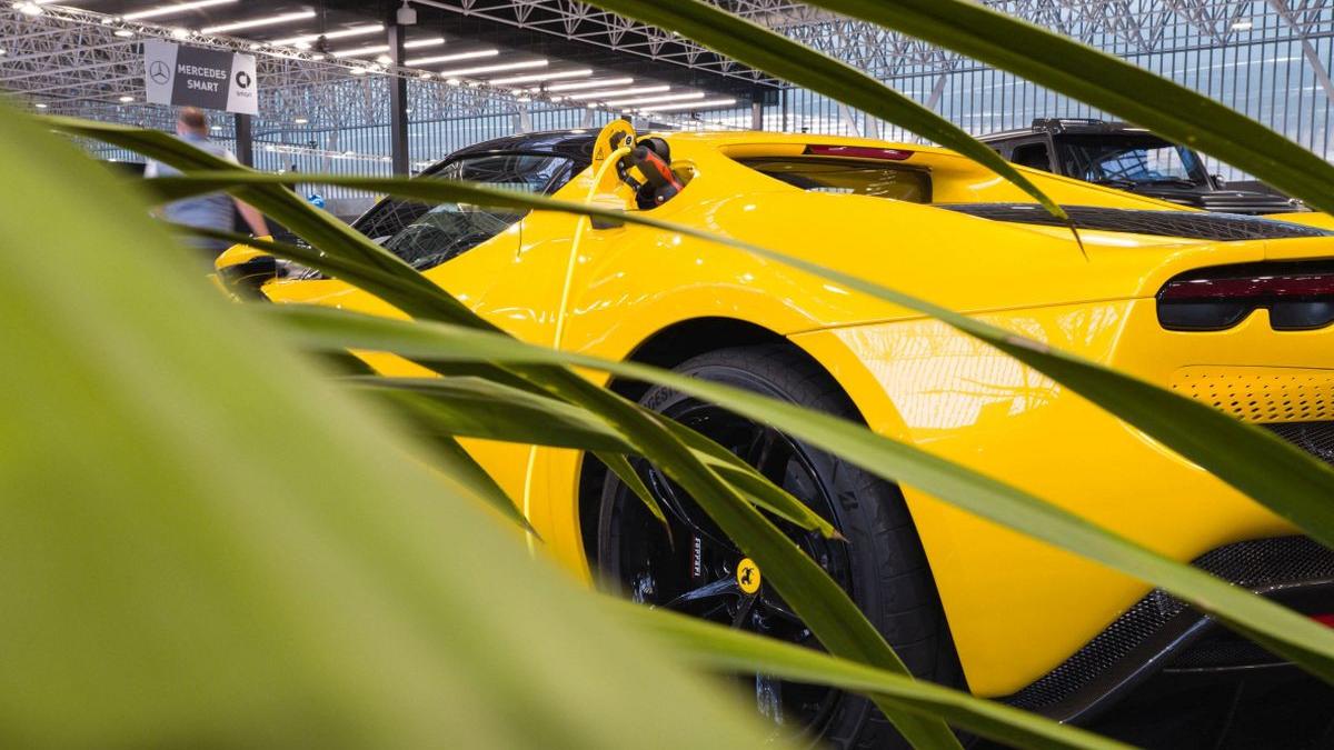 omenire maxim absolut consum petrol sase ani vanzari vehicule electrice jumatate piata