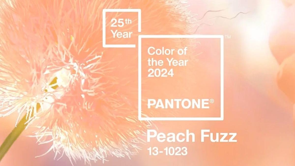 2. Fuzzy Peach Nails - wide 3