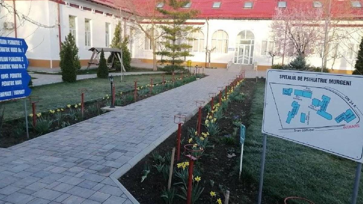 bacterii periculoase mancare omorat trei oameni spitalul murgeni