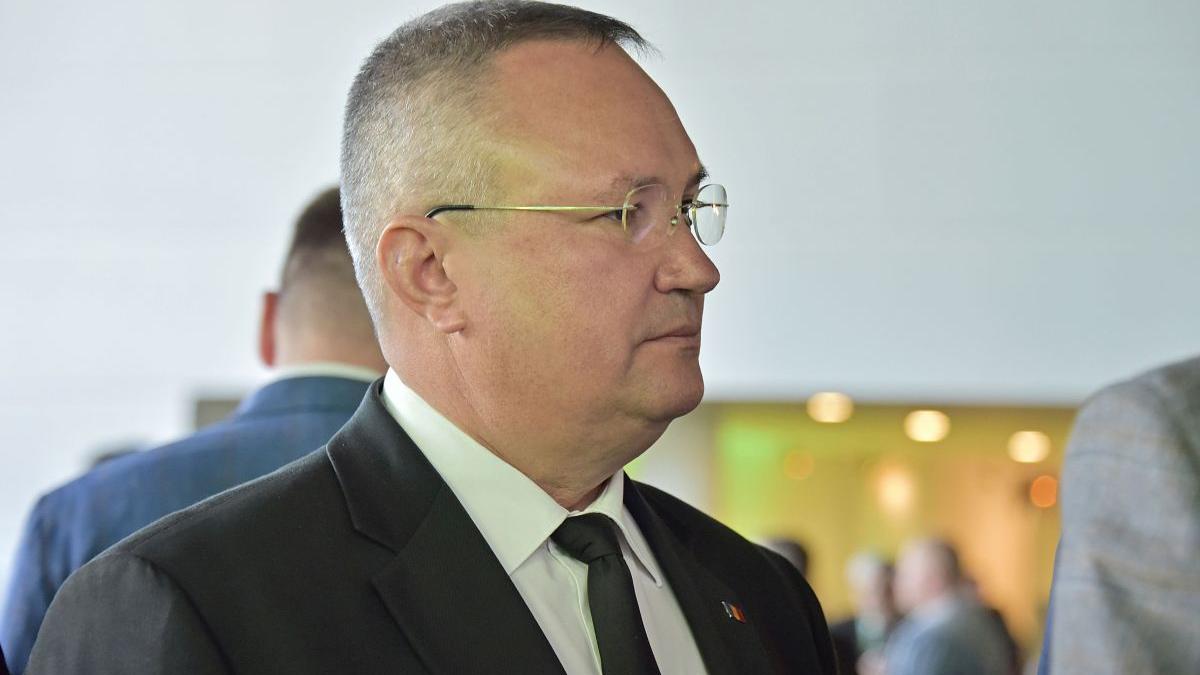 nicolae ciuca coalitie de guvernare camera pat