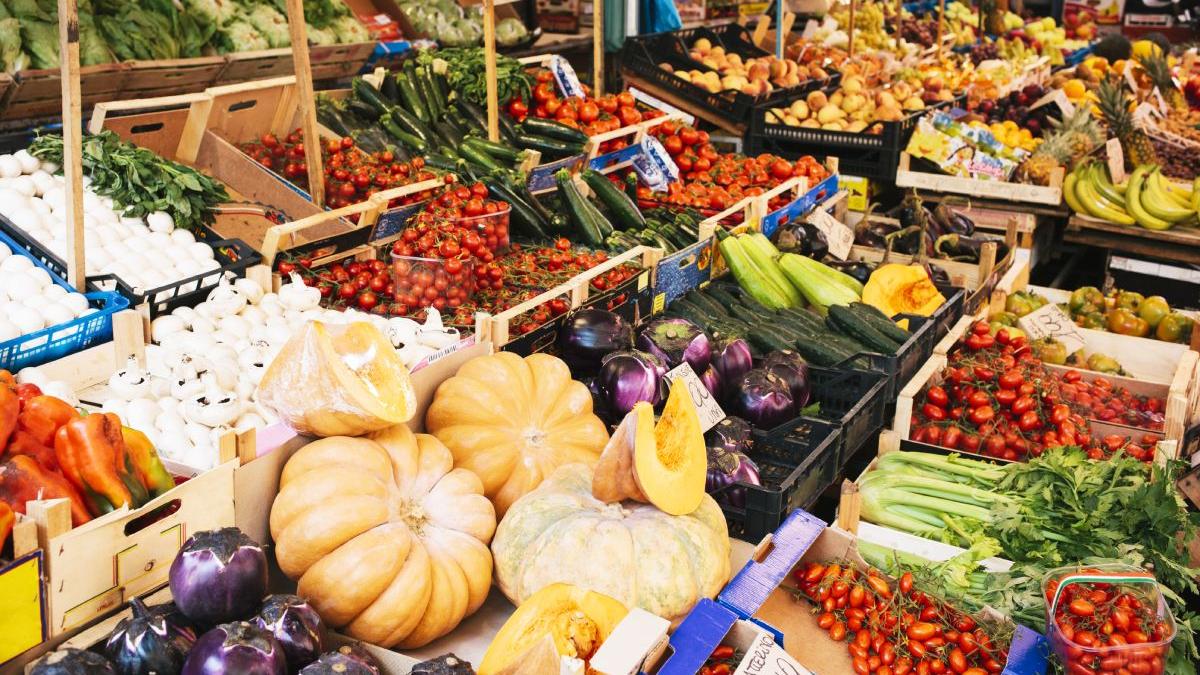 prima piata agroalimentara romania genereaza singura curent electric