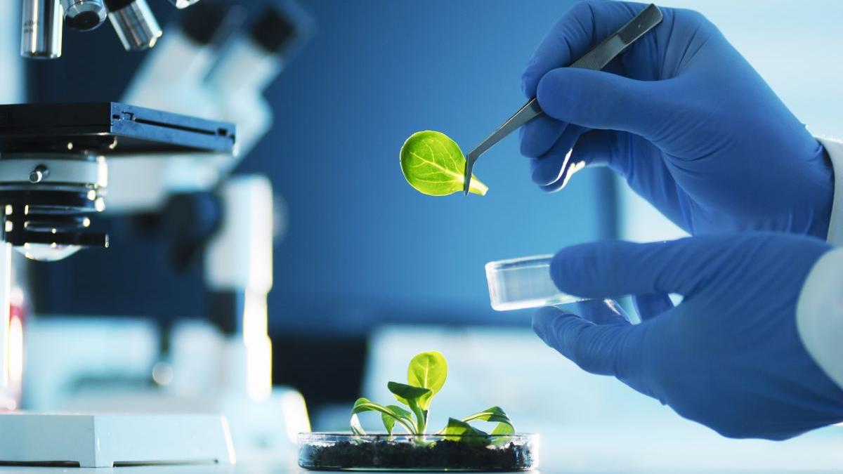 asociatii fermieri introducere ngt1