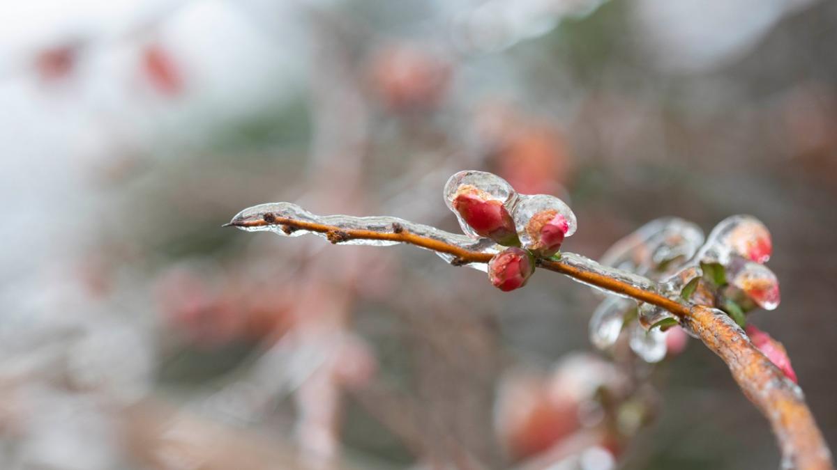 atentionare meteo anm imediata polei bucuresti alte judete
