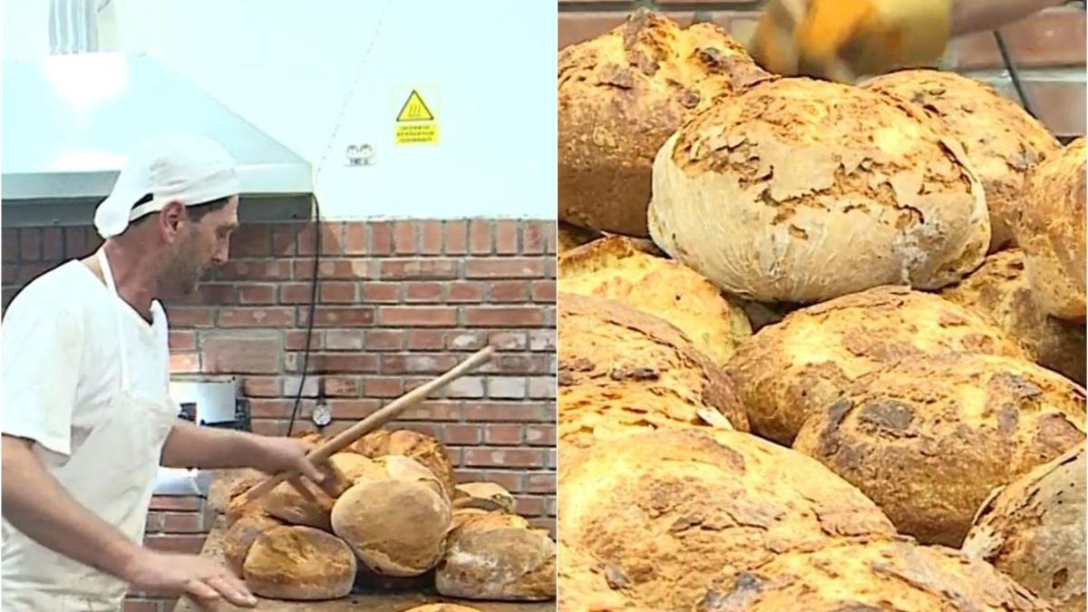 secret roman afacere succes paine cozonaci brutari continut aluat sanpetru campie