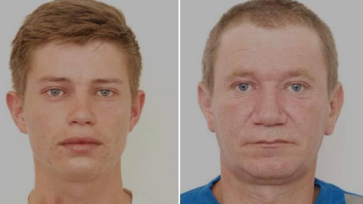 frati disparuti neamt