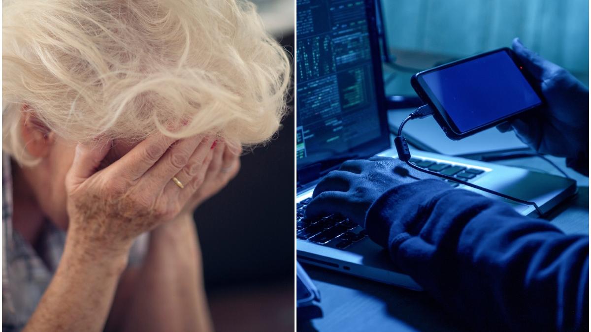 pensionara inselata metoda accidentul indivizi arestati inchisoare baia mare