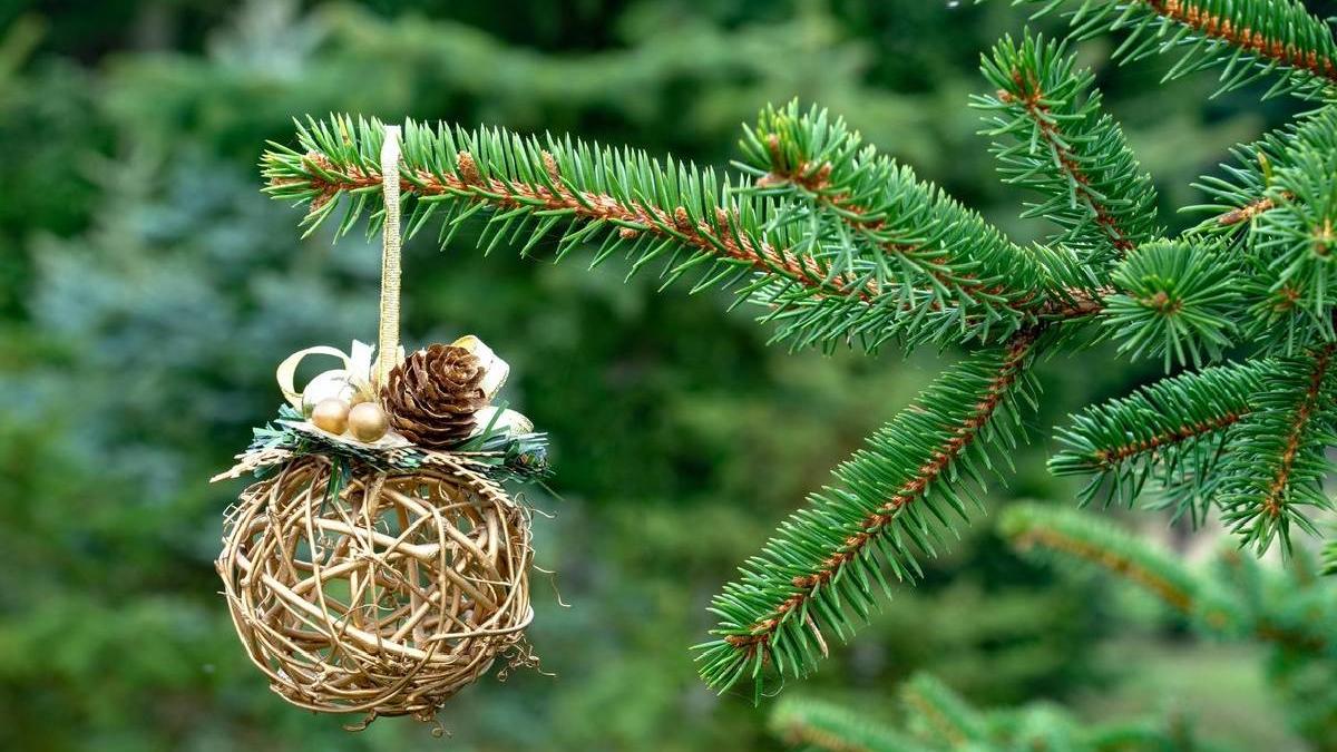 trucuri brad natural craciun reziste mult ramane verde saptamani rand