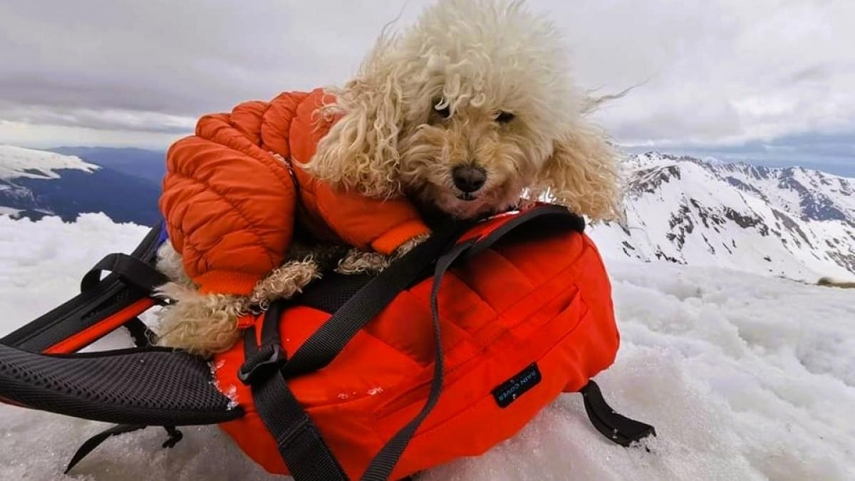 zoe alpinista catel montaniard