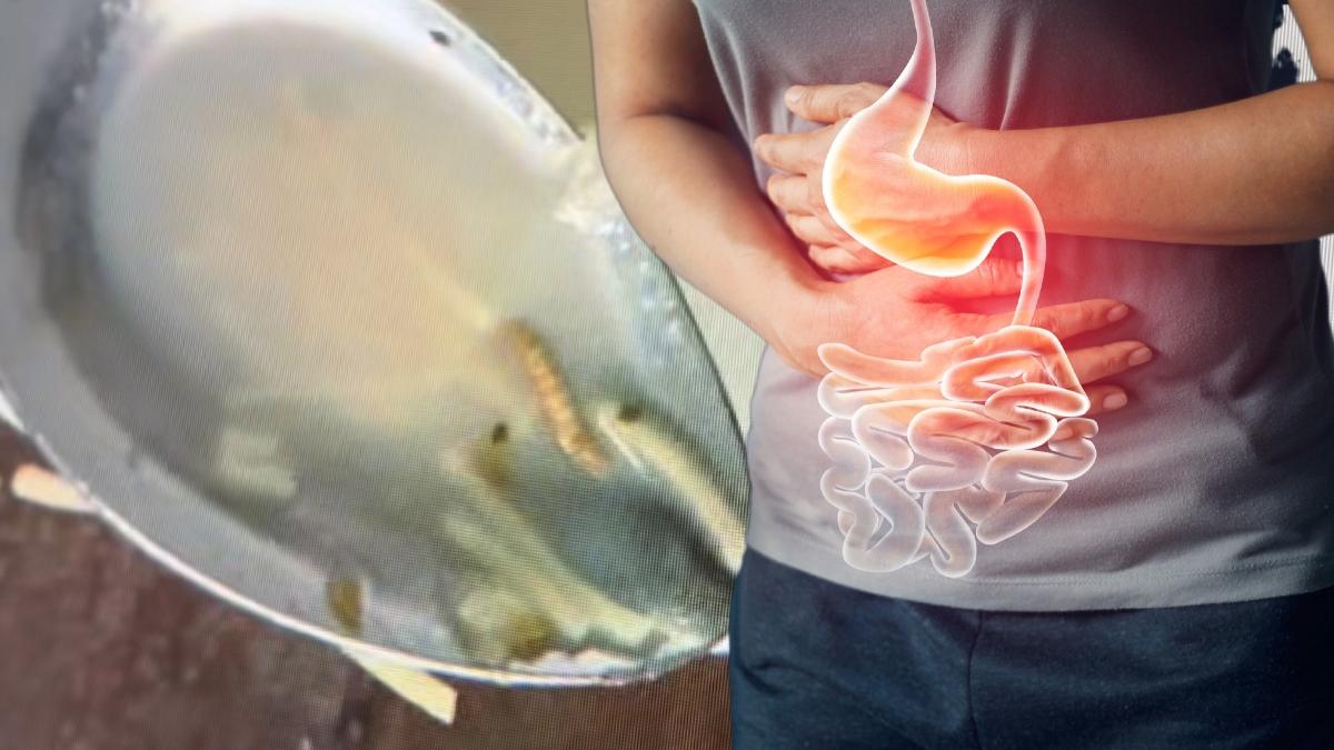 mancare alterata viermi scoala de politie din cluj napoca ancheta igpr