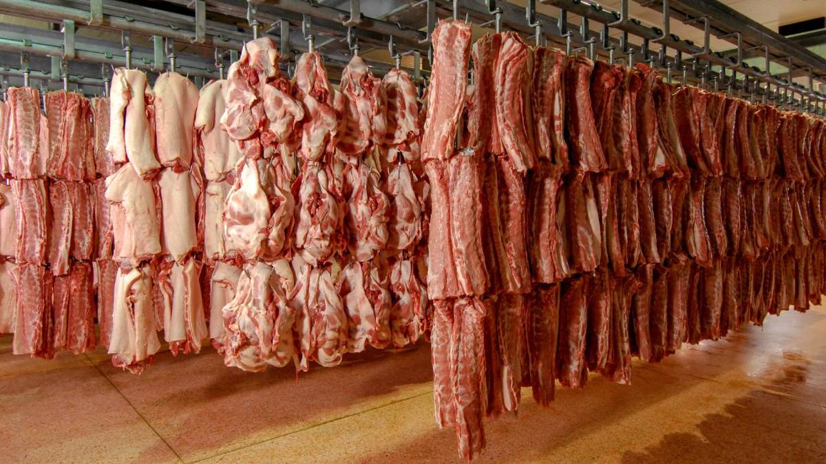 carne de porc medic endocrinolog