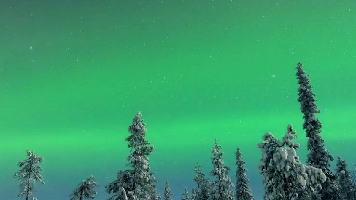 finlanda tara mos craciun reni husky