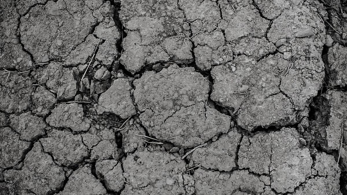 desertificare romania hectare culturi agricole