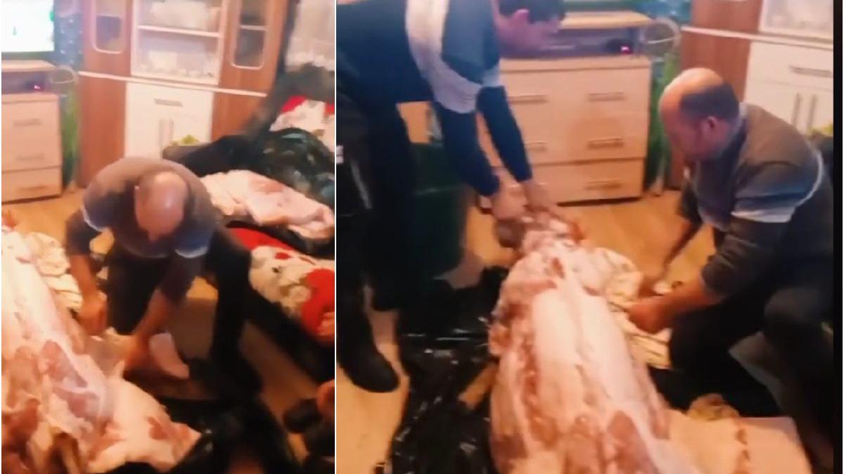 imagini video familie taierea porcului sufragerie virale internet