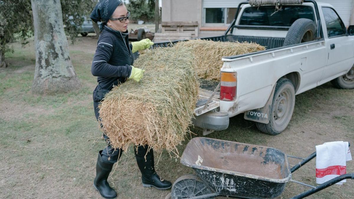 america expres 18 decembrie 2023 echipele se despart lupta biletul de aur